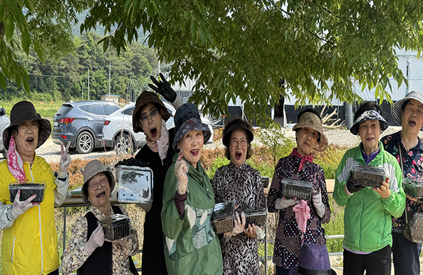꽃보다 청춘